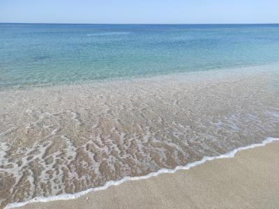 Прикрепленное изображение: IMG_20210724_085347_resize_92.jpg